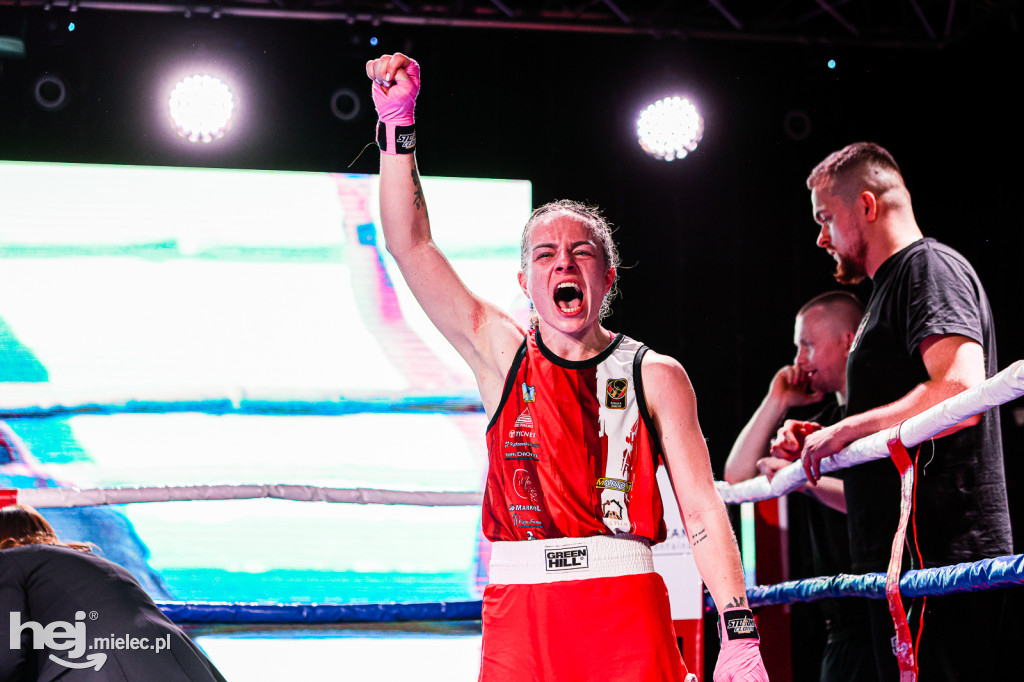 MSB Region Boxing Cup