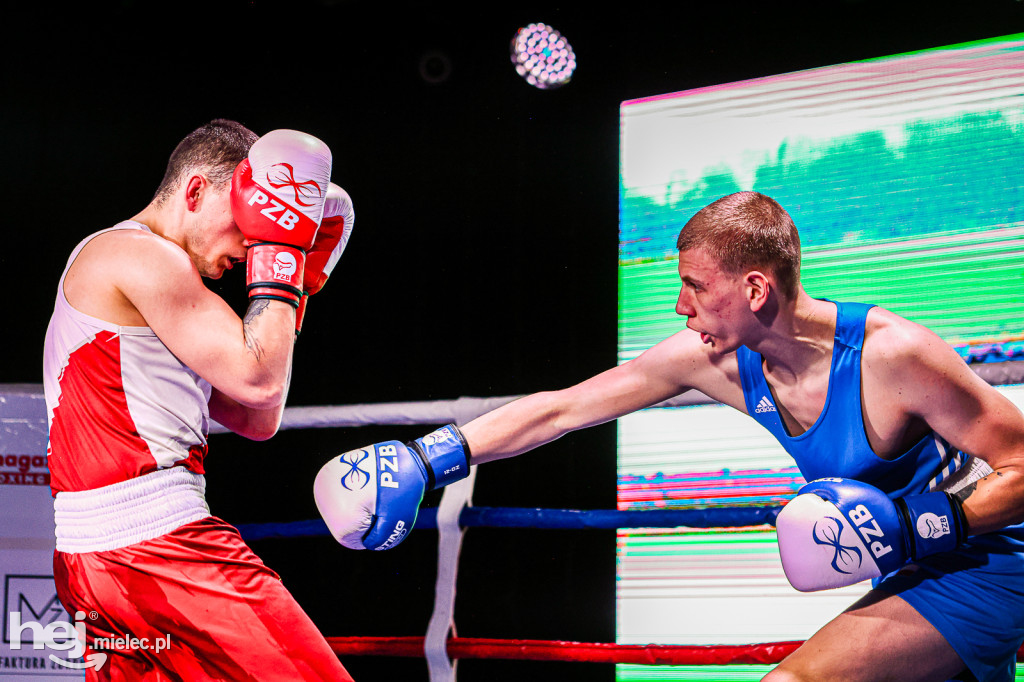 MSB Region Boxing Cup