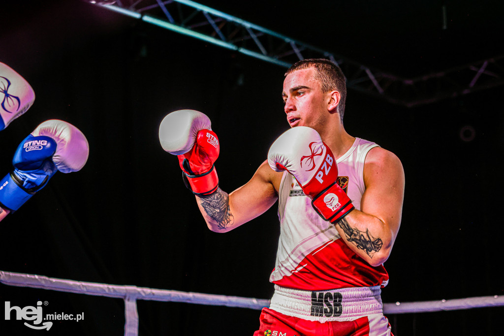 MSB Region Boxing Cup