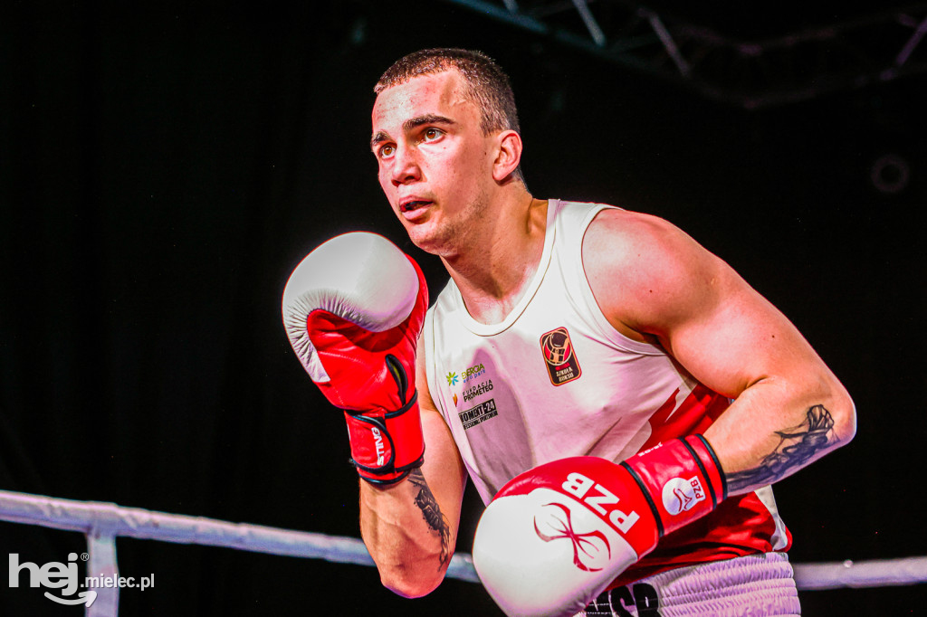 MSB Region Boxing Cup