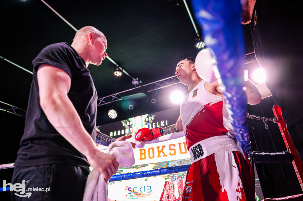 MSB Region Boxing Cup