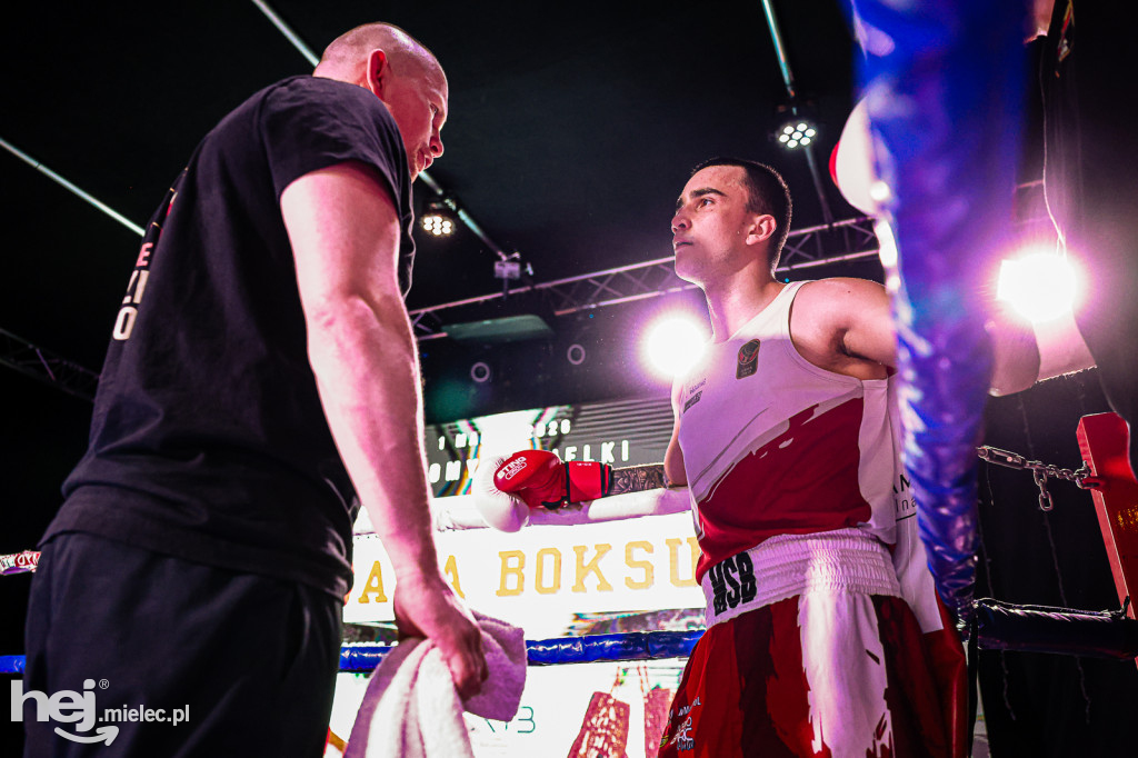 MSB Region Boxing Cup