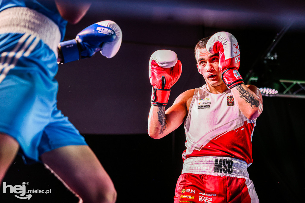 MSB Region Boxing Cup