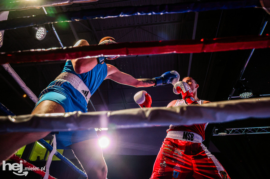 MSB Region Boxing Cup