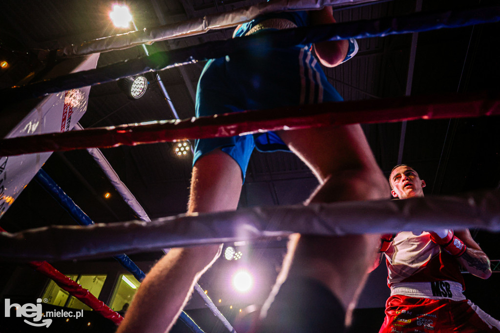 MSB Region Boxing Cup