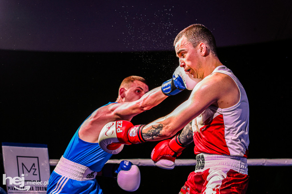 MSB Region Boxing Cup