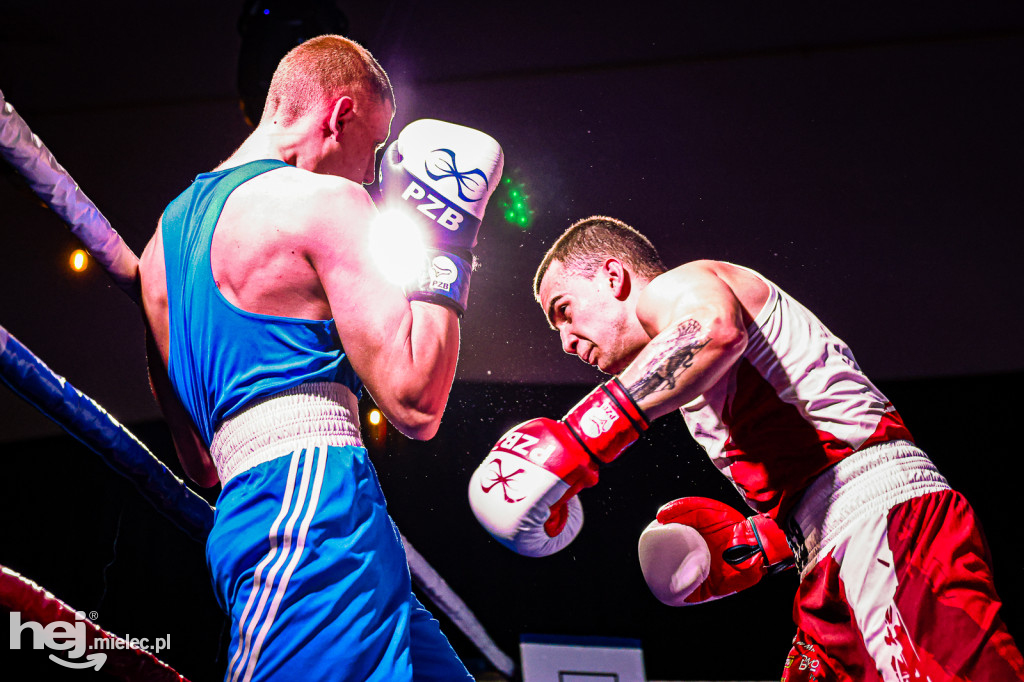 MSB Region Boxing Cup