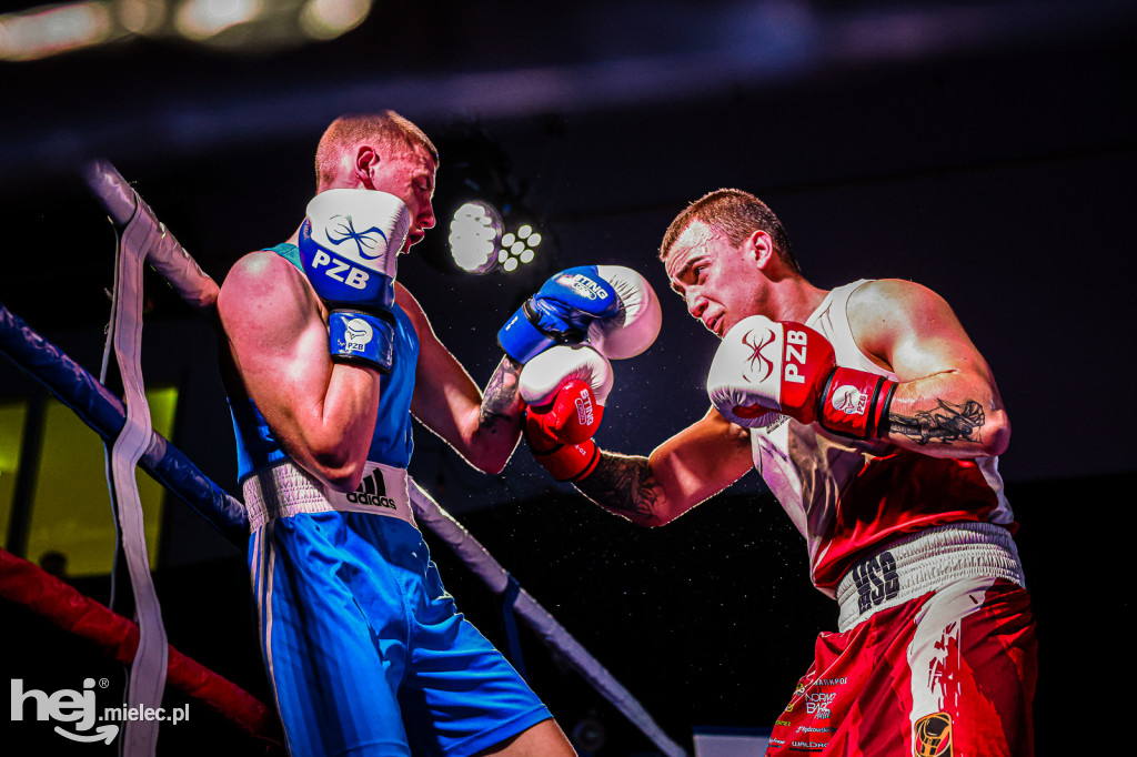 MSB Region Boxing Cup