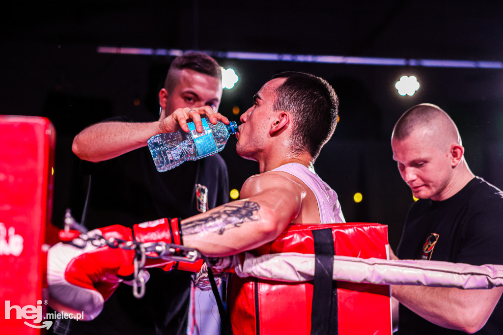 MSB Region Boxing Cup