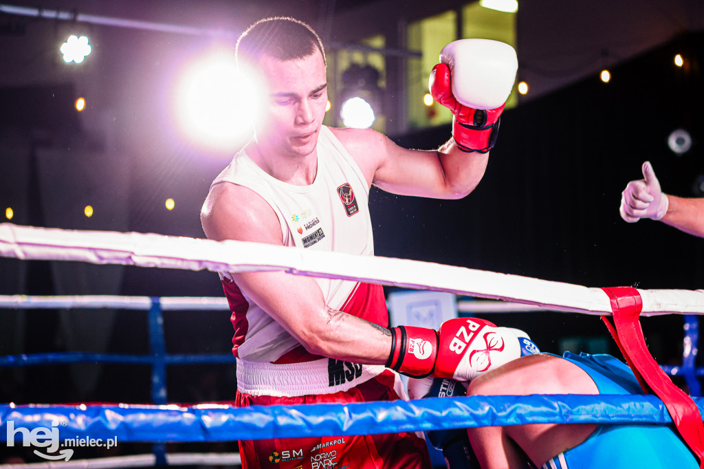 MSB Region Boxing Cup