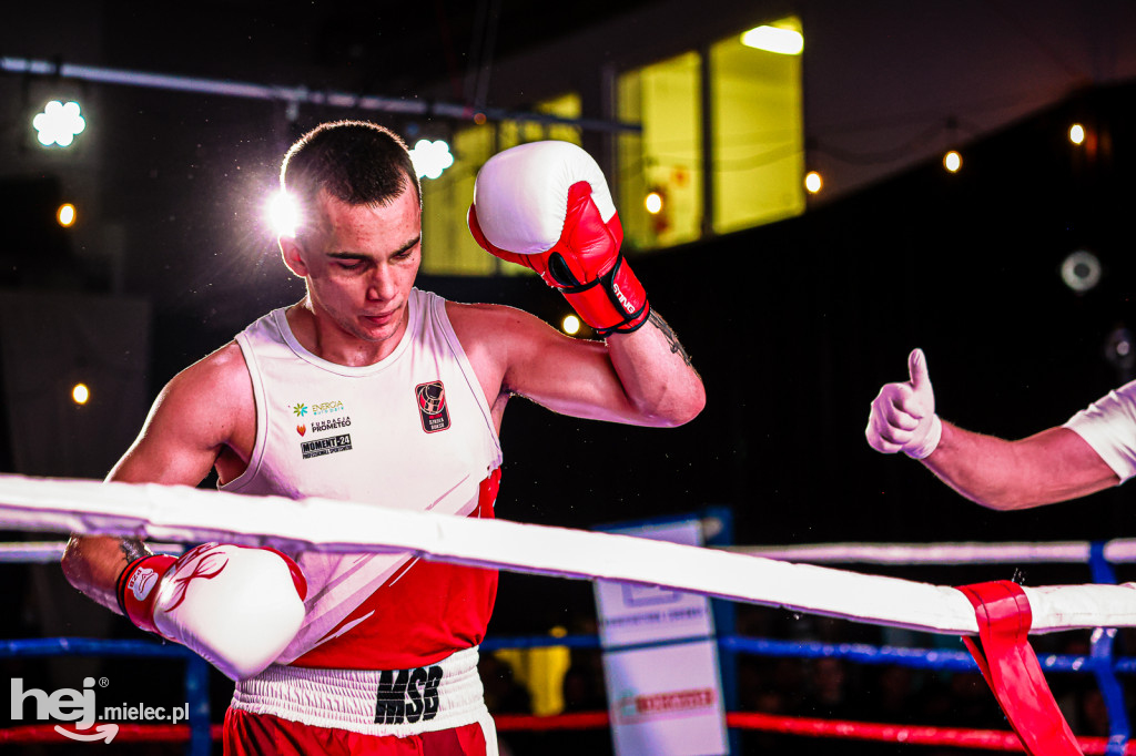 MSB Region Boxing Cup