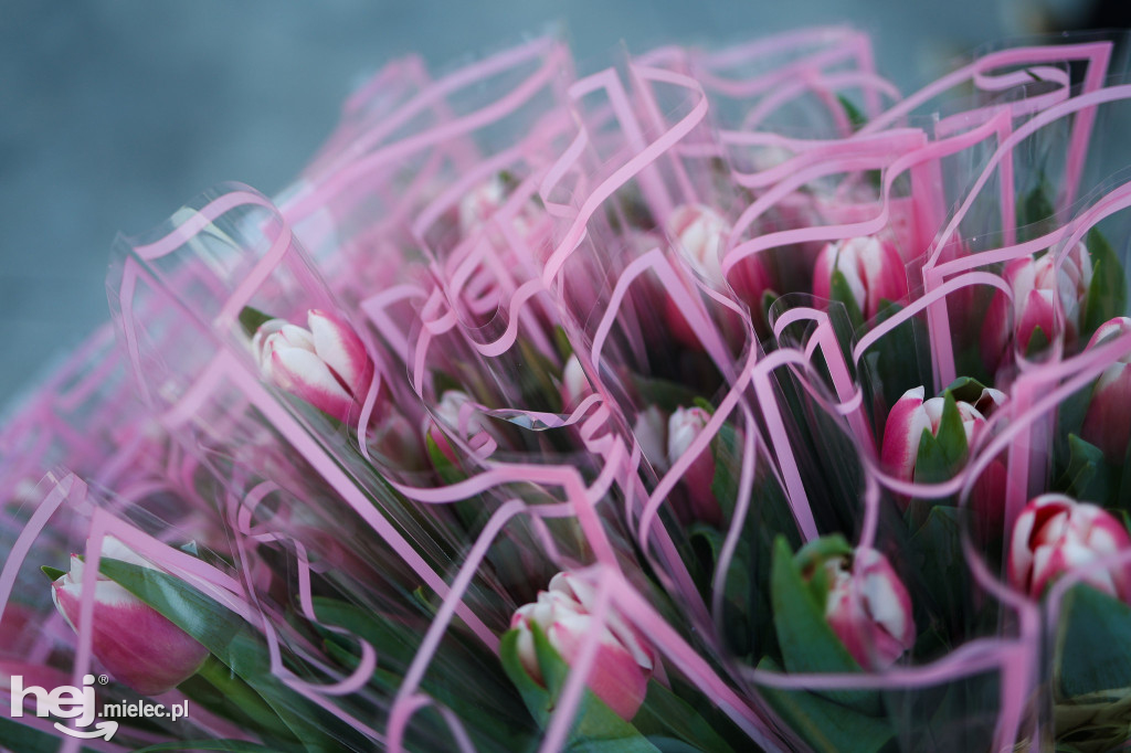 Mielecka Strefa Kobiet