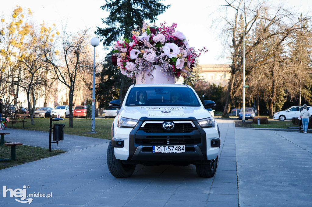 Mielecka Strefa Kobiet