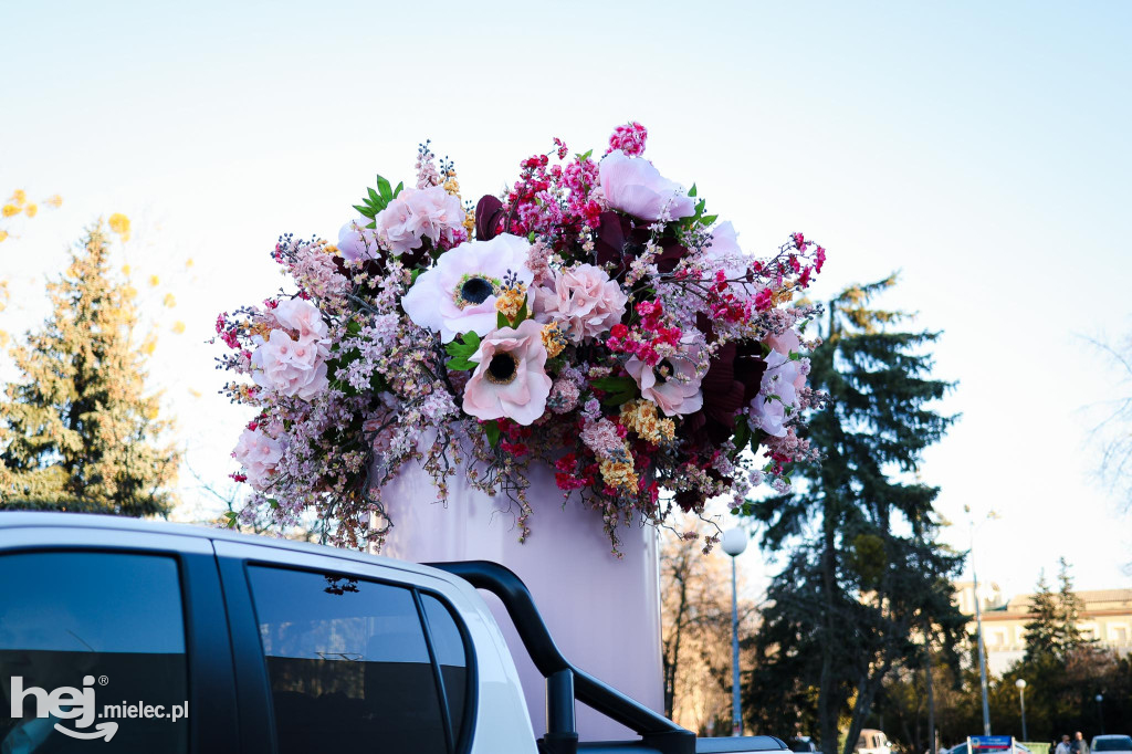 Mielecka Strefa Kobiet