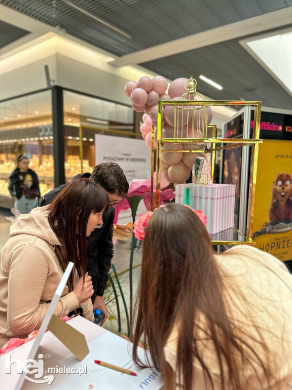 Świętowanie Dnia Kobiet w Galerii Navigator