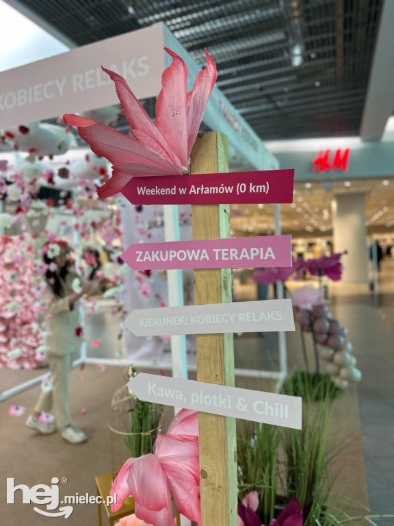 Świętowanie Dnia Kobiet w Galerii Navigator