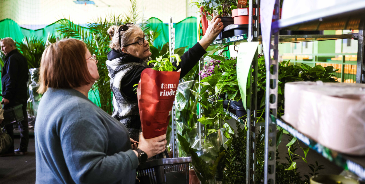 Targi Roślin w hali SP7 Mielec