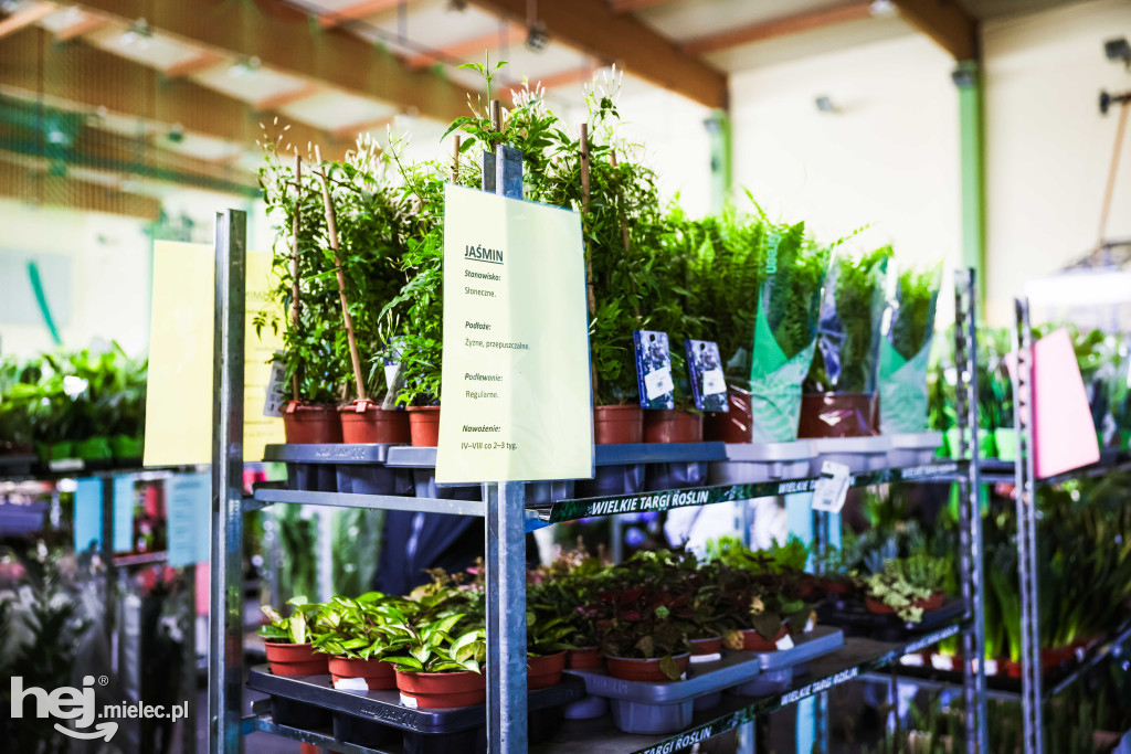 Targi Roślin w hali SP7 Mielec
