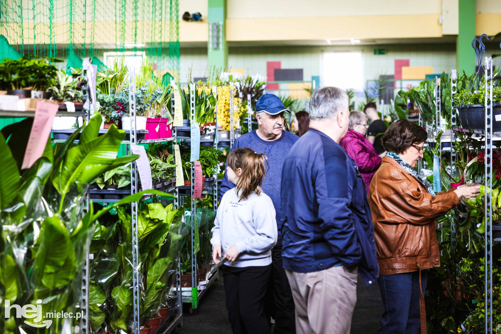 Targi Roślin w hali SP7 Mielec