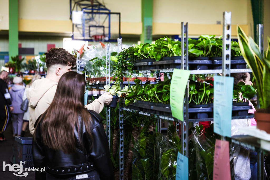 Targi Roślin w hali SP7 Mielec