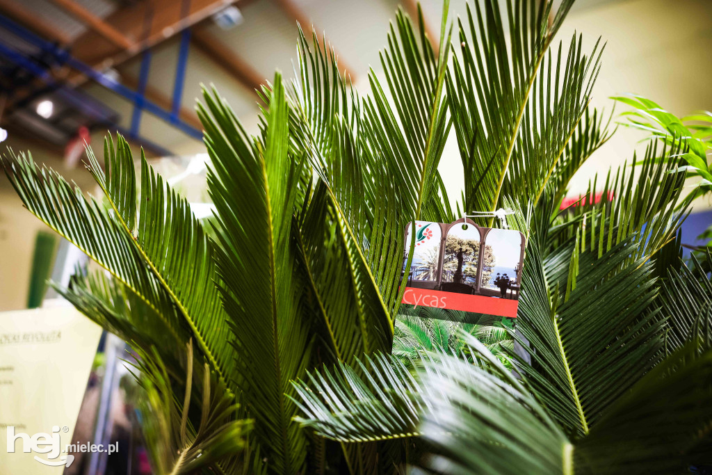 Targi Roślin w hali SP7 Mielec