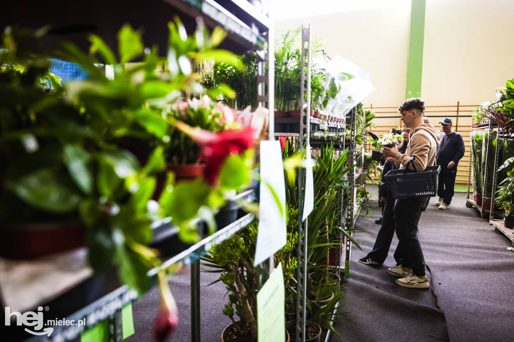 Targi Roślin w hali SP7 Mielec