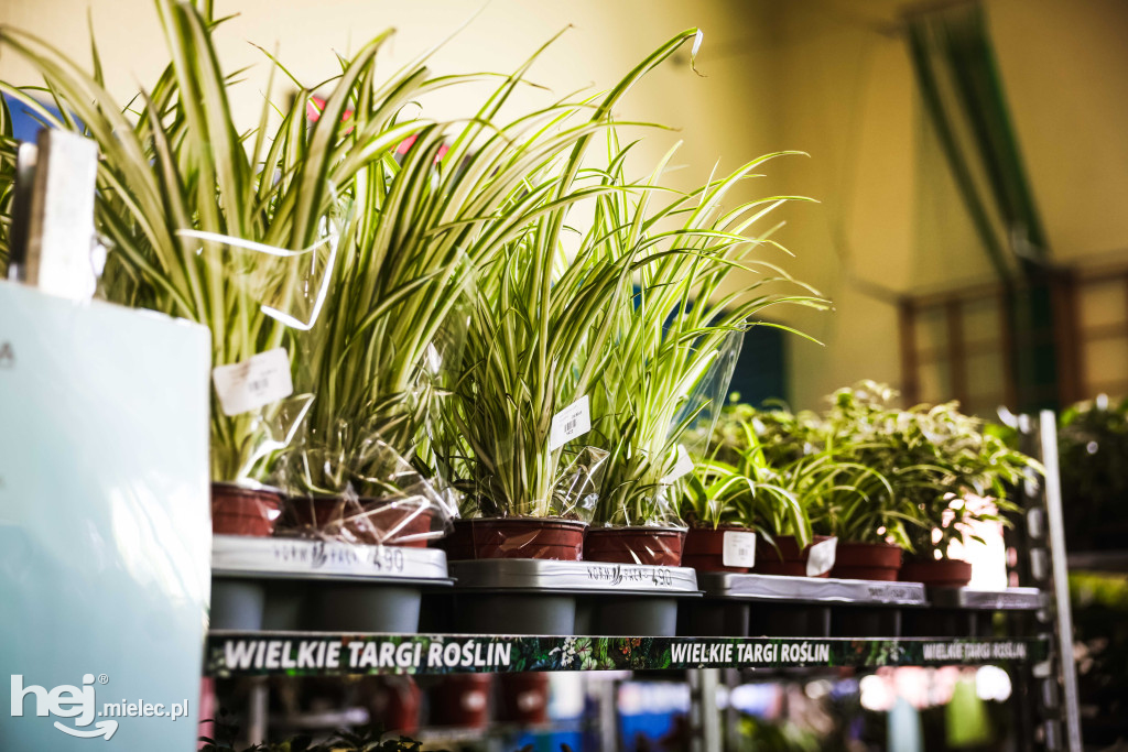 Targi Roślin w hali SP7 Mielec