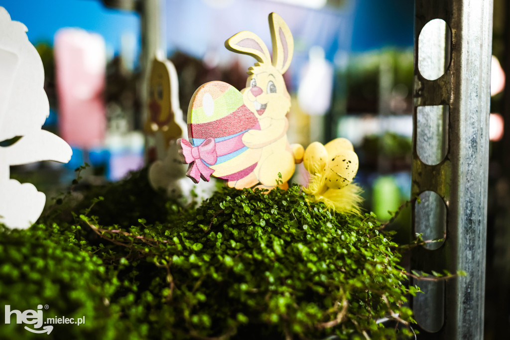 Targi Roślin w hali SP7 Mielec