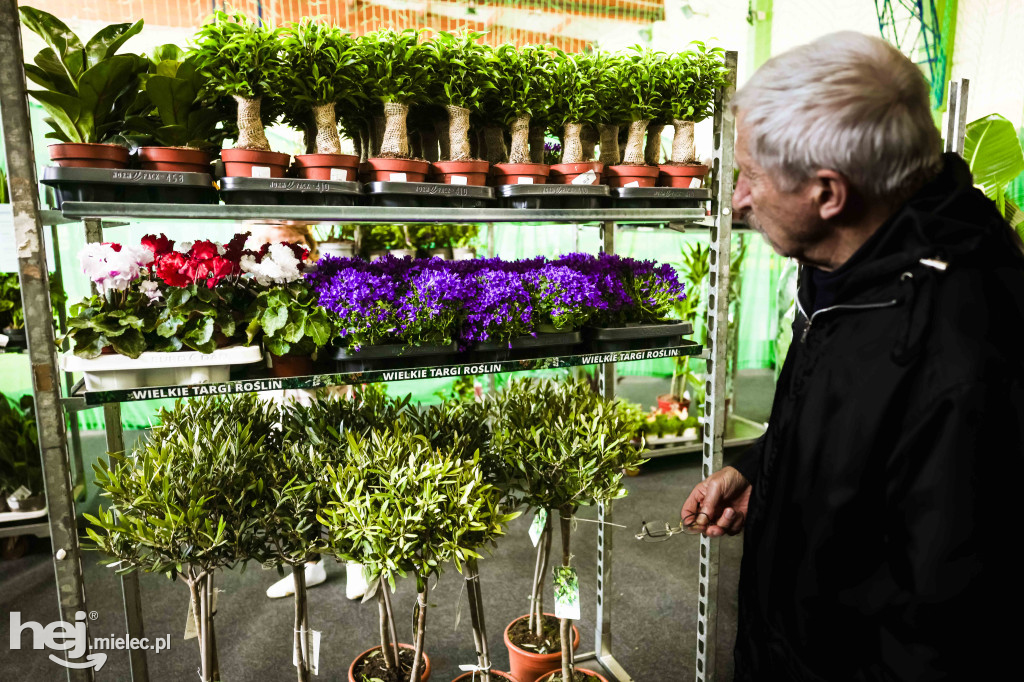 Targi Roślin w hali SP7 Mielec