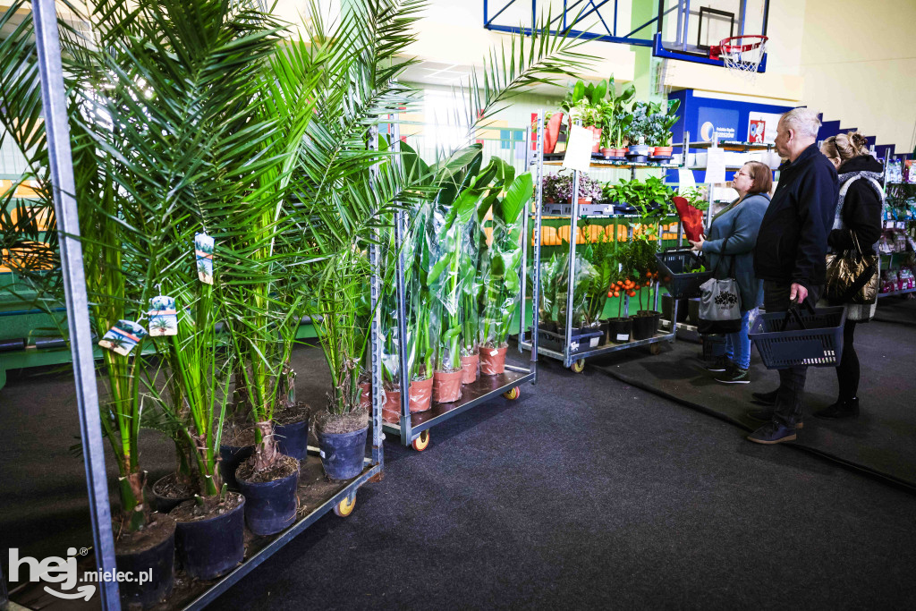 Targi Roślin w hali SP7 Mielec