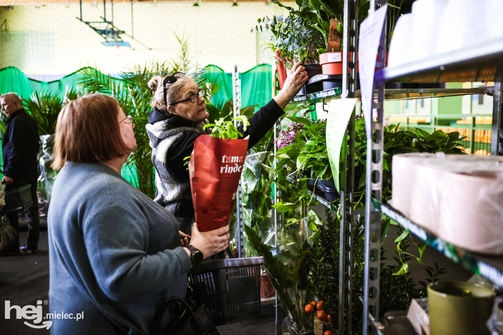 Targi Roślin w hali SP7 Mielec