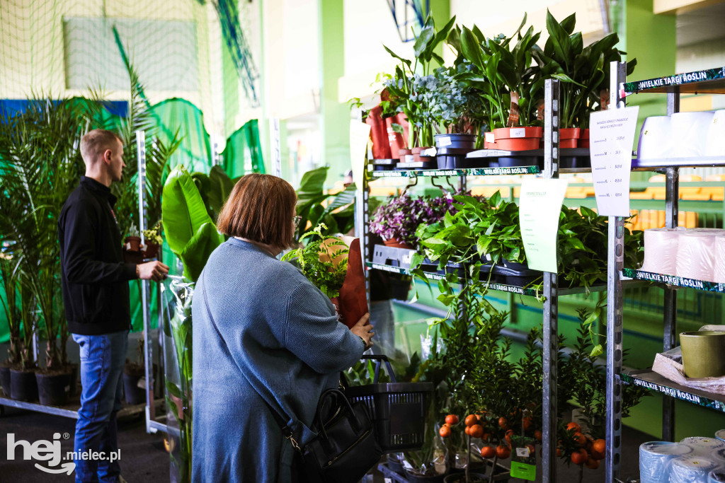 Targi Roślin w hali SP7 Mielec