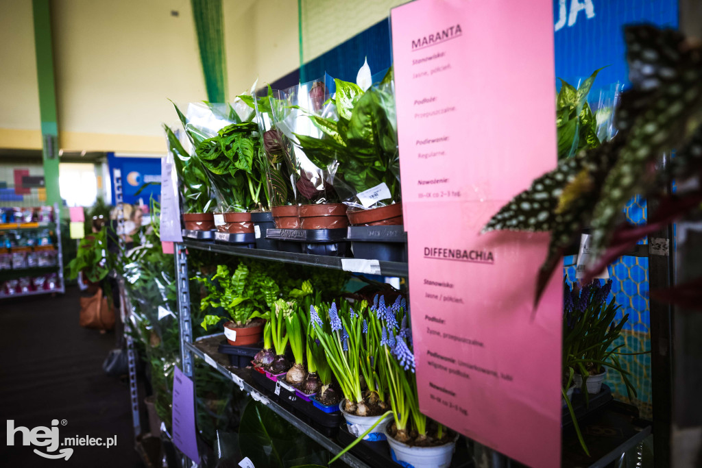 Targi Roślin w hali SP7 Mielec