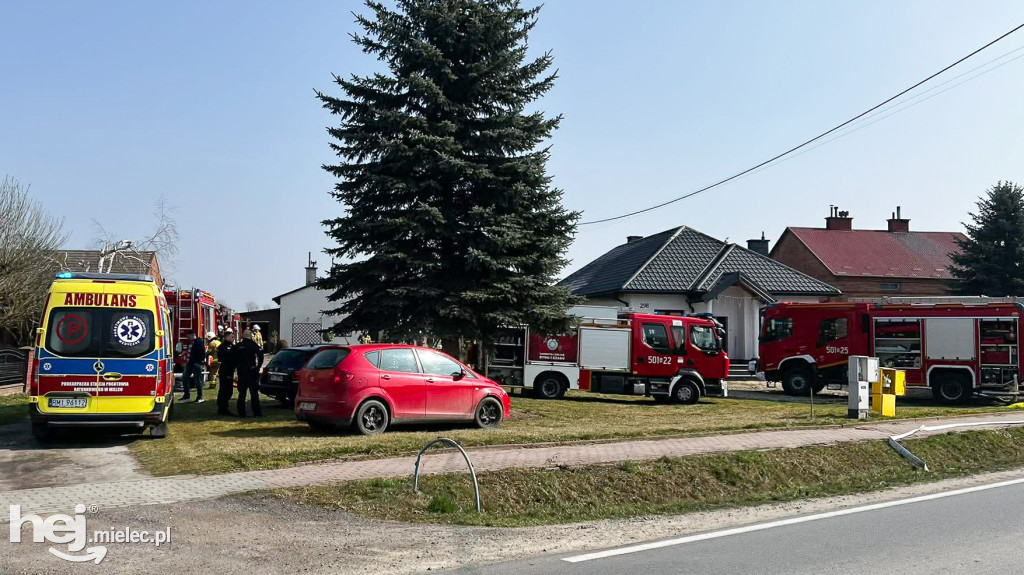 Pożar domu: dwudziestu strażaków w akcji