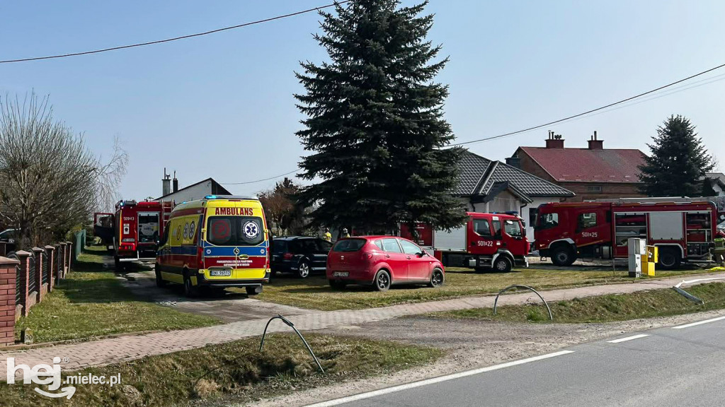 Pożar domu: dwudziestu strażaków w akcji