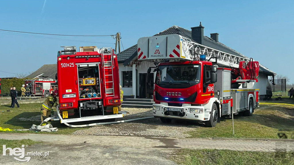 Pożar domu: dwudziestu strażaków w akcji