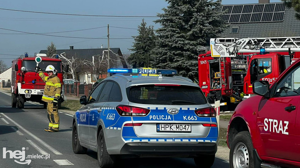 Pożar domu: dwudziestu strażaków w akcji