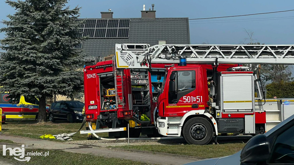 Pożar domu: dwudziestu strażaków w akcji