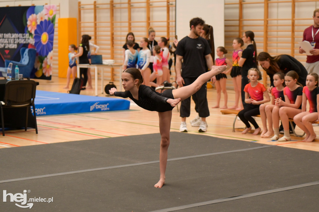 Akromielec na turnieju