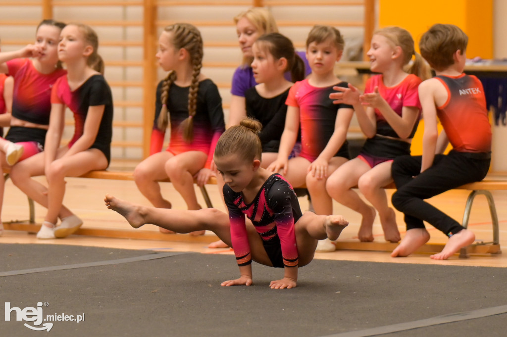 Akromielec na turnieju