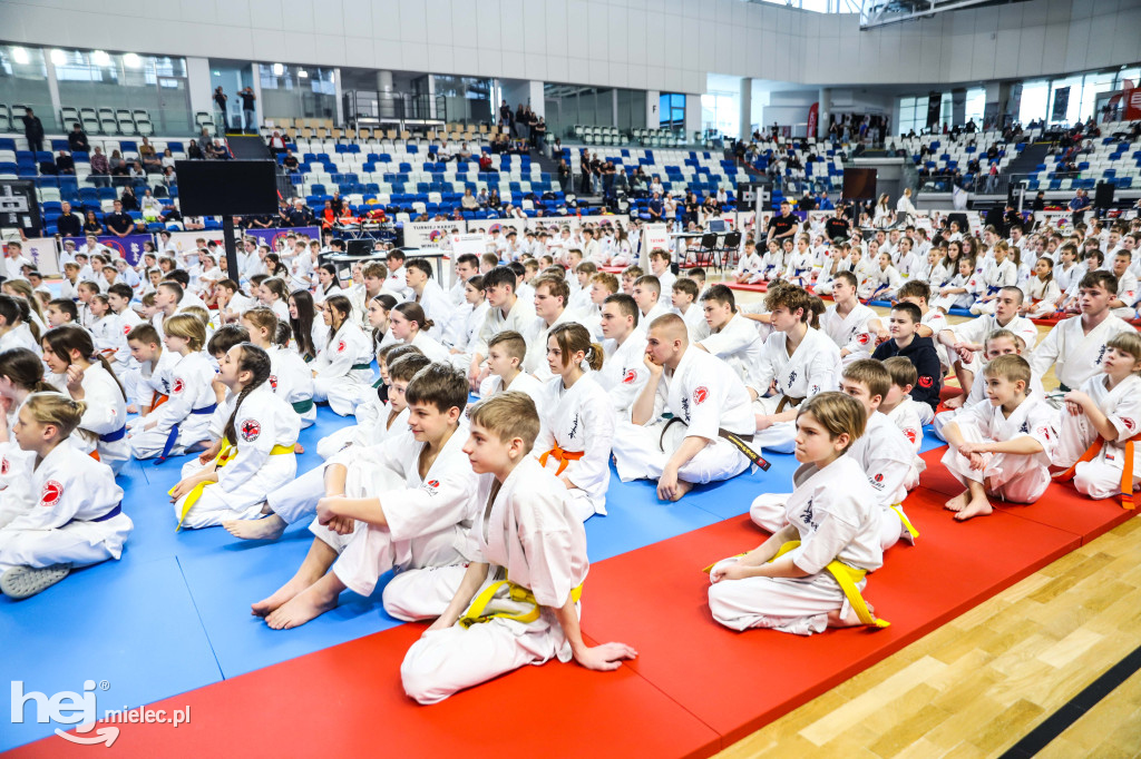 Ogólnopolski Turniej Karate Wings Cup