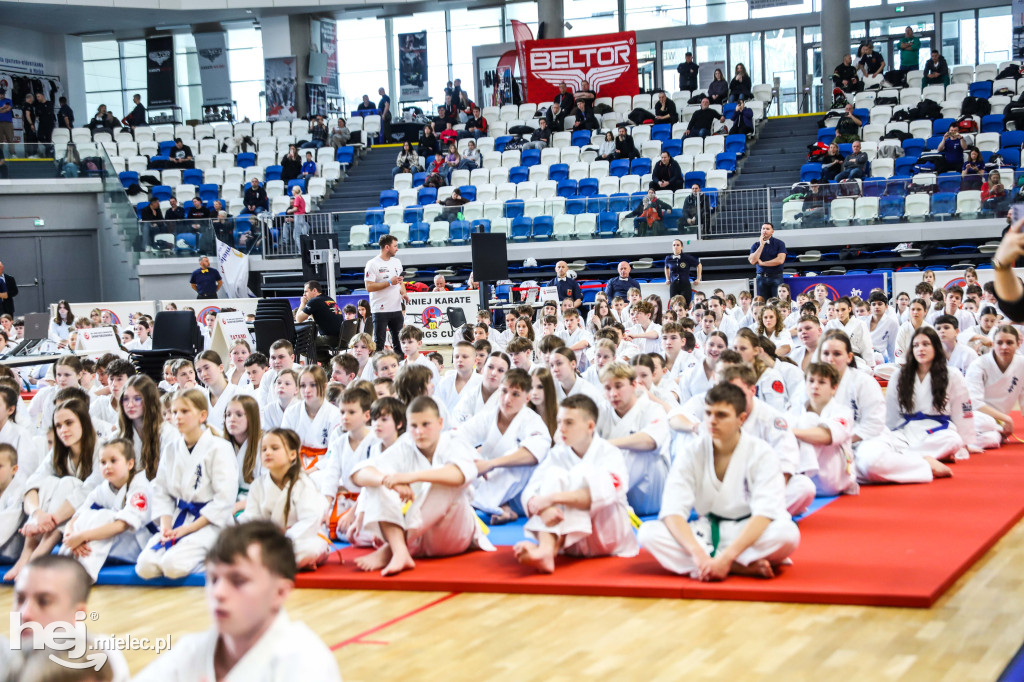 Ogólnopolski Turniej Karate Wings Cup