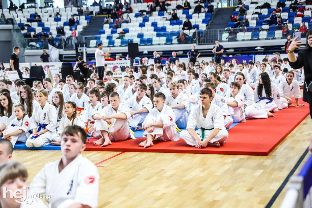 Ogólnopolski Turniej Karate Wings Cup