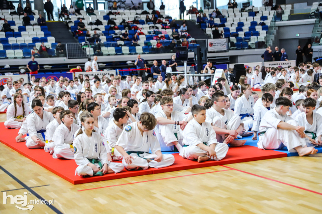 Ogólnopolski Turniej Karate Wings Cup