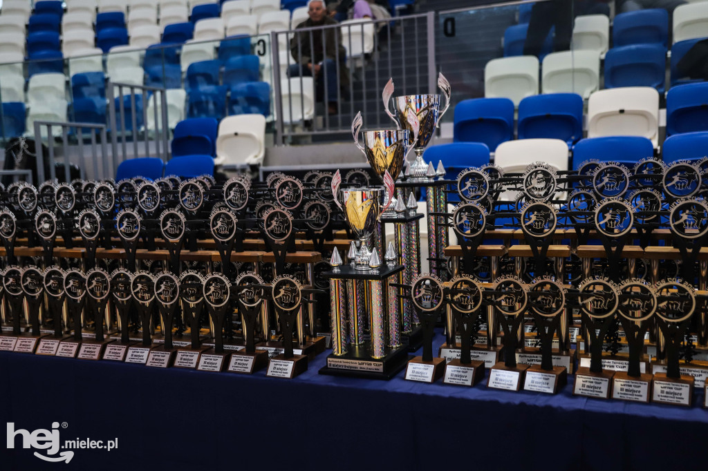 Ogólnopolski Turniej Karate Wings Cup