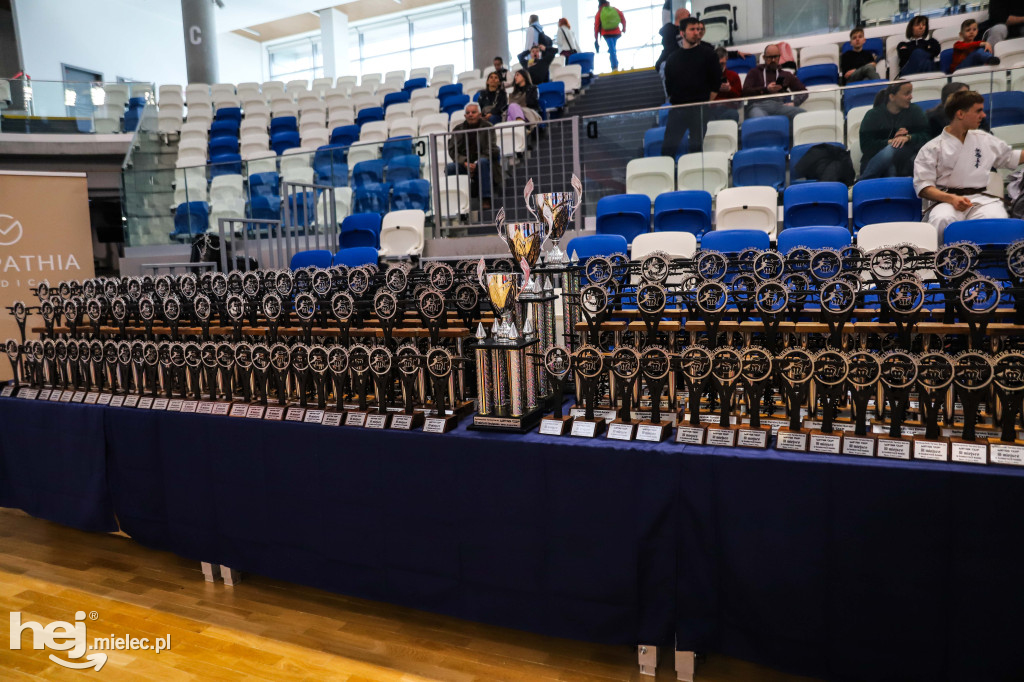 Ogólnopolski Turniej Karate Wings Cup