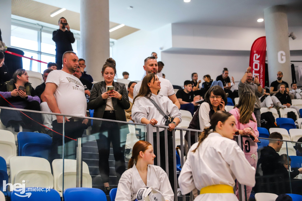 Ogólnopolski Turniej Karate Wings Cup