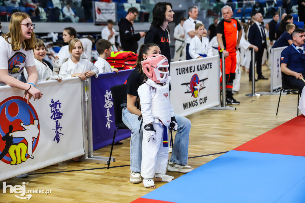 Ogólnopolski Turniej Karate Wings Cup