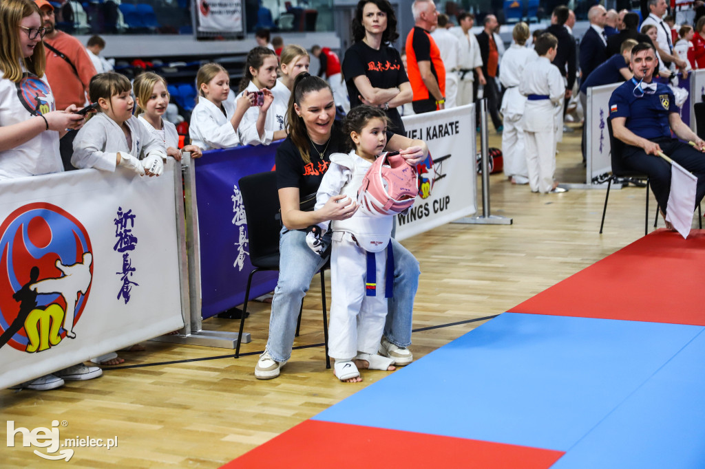 Ogólnopolski Turniej Karate Wings Cup