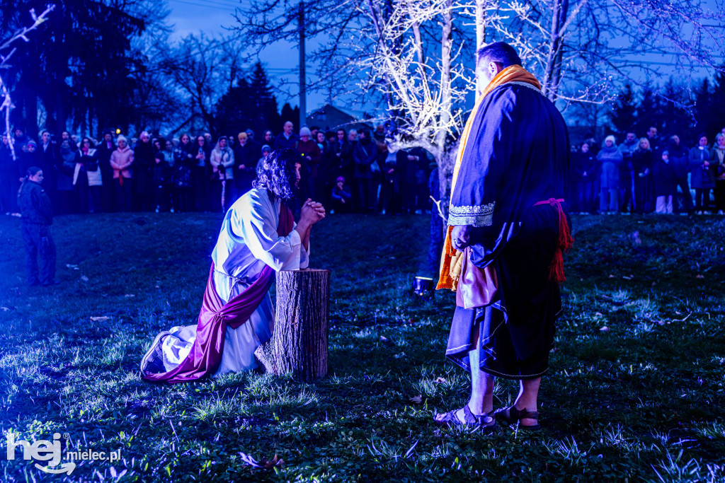 Misterium Męki Pańskiej w Przecławiu